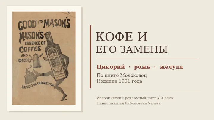 Когда кофе был не из кофе: цикорий, рожь и жёлуди у Молоховец