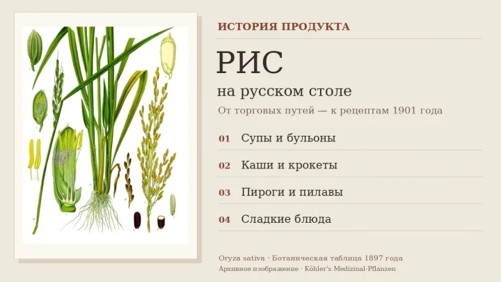 От сарачинского пшена до пилава: как рис попадал на русский стол