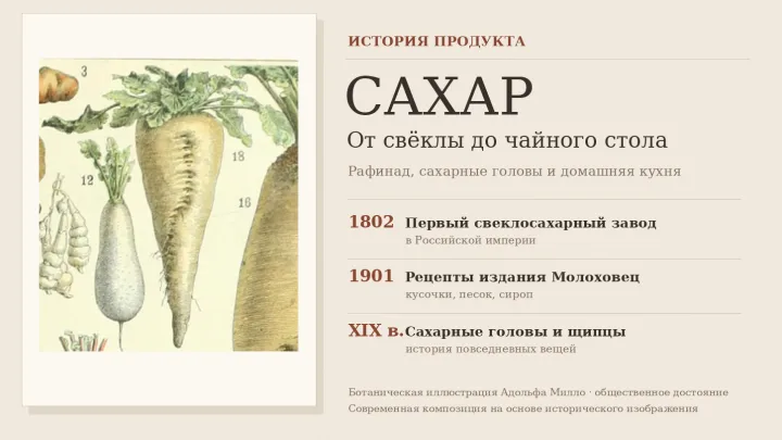 От сахарной головы до рафинада: как сахар изменил русскую кухню